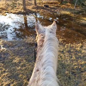 Meet your Posher, Luke